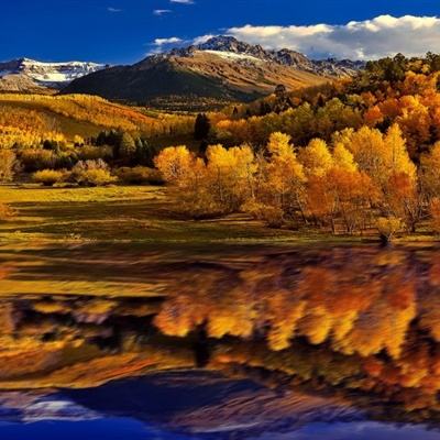 pg麻将胡了下载app下载